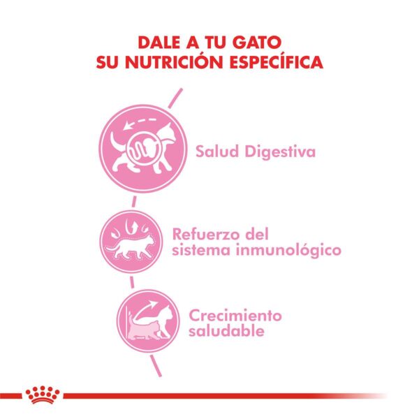 Royal Canin Kitten Alimento Seco para Gato | 1,5 y 7,5 kg