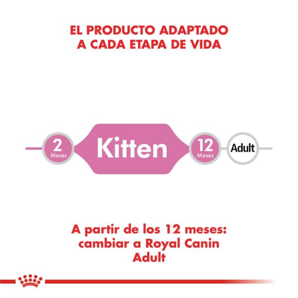 Royal Canin Kitten Alimento Seco para Gato | 1,5 y 7,5 kg
