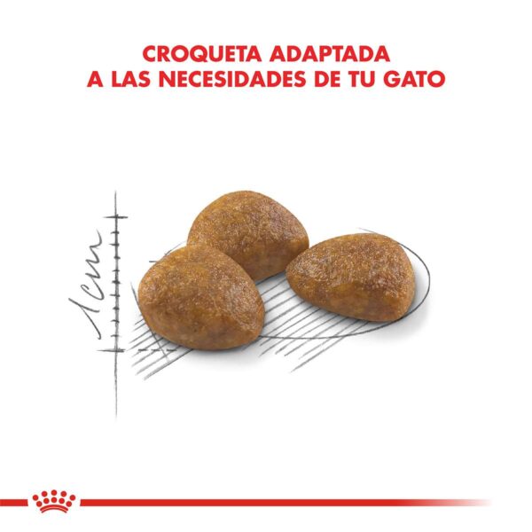 Royal Canin Active 7+ Alimento Seco para Gato | 1,5 kg