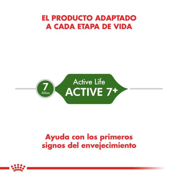 Royal Canin Active 7+ Alimento Seco para Gato | 1,5 kg