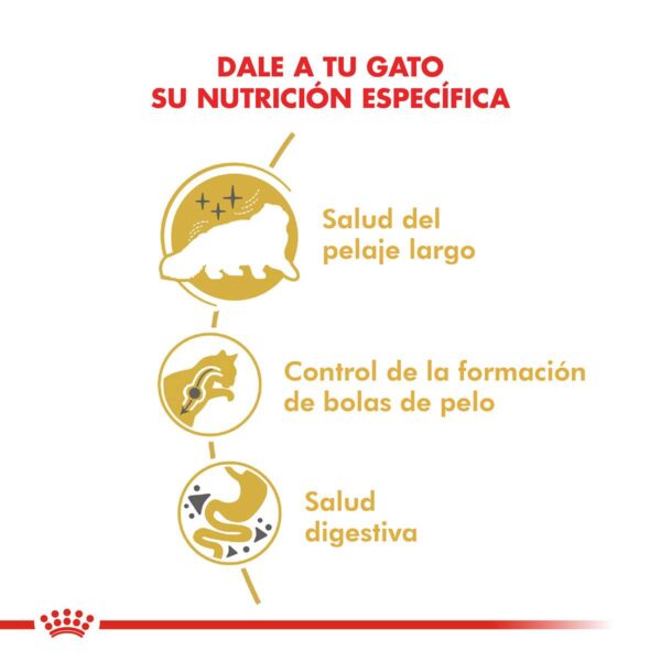Royal Canin Persian Adulto Alimento Seco para Gato | 1,5 y 7,5 kg