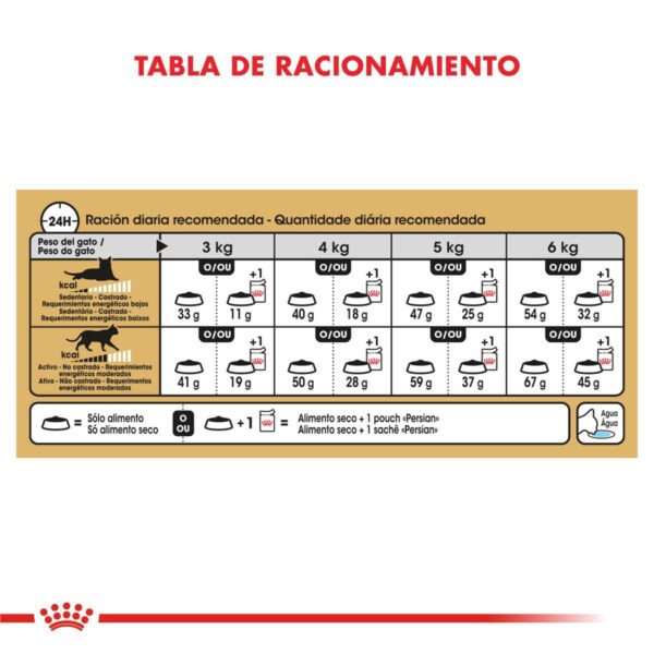 Royal Canin Persian Adulto Alimento Seco para Gato | 1,5 y 7,5 kg