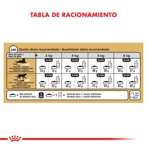 Royal Canin Siamese Adulto Alimento Seco para Gato | 1,5 y 7,5 kg