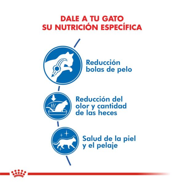 Royal Canin Indoor Long Hair Alimento Seco para Gato | 1,5 kg