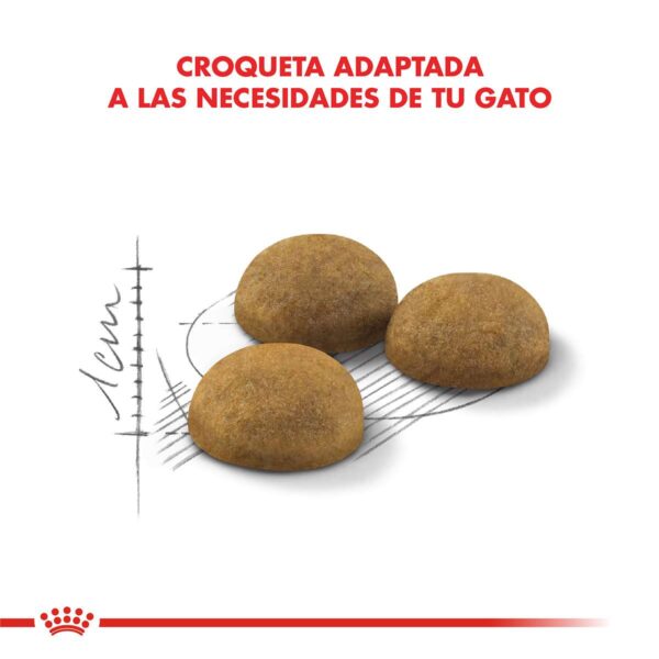 Royal Canin Indoor Long Hair Alimento Seco para Gato | 1,5 kg