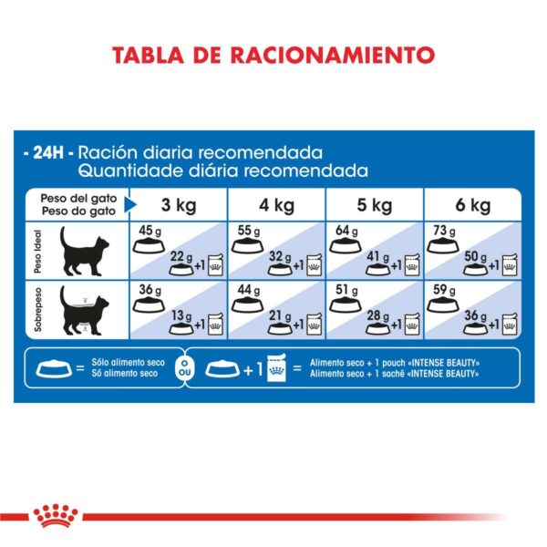 Royal Canin Indoor Long Hair Alimento Seco para Gato | 1,5 kg