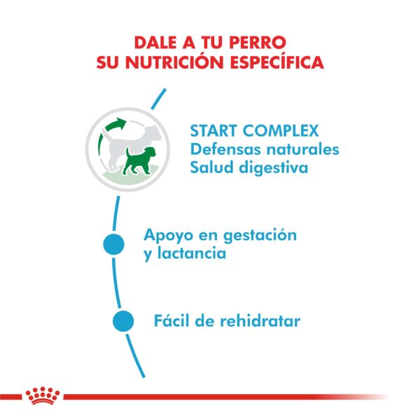 Royal Canin Mini Starter Mother & Babydog Alimento Seco para Perro | 1 y 3 kg
