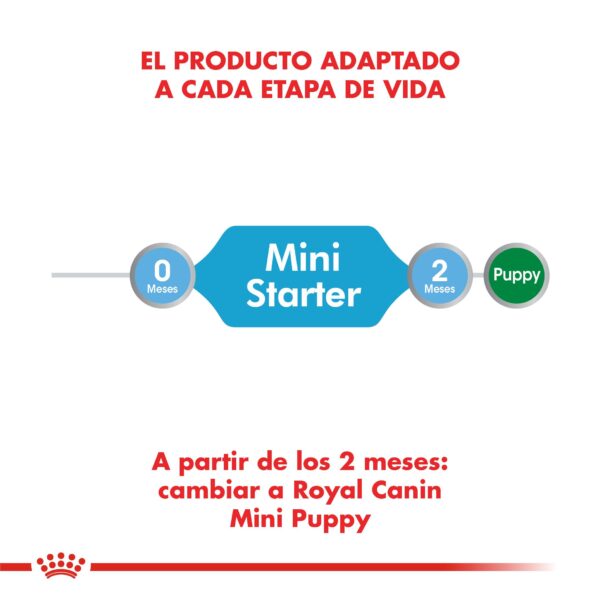 Royal Canin Mini Starter Mother & Babydog Alimento Seco para Perro | 1 y 3 kg