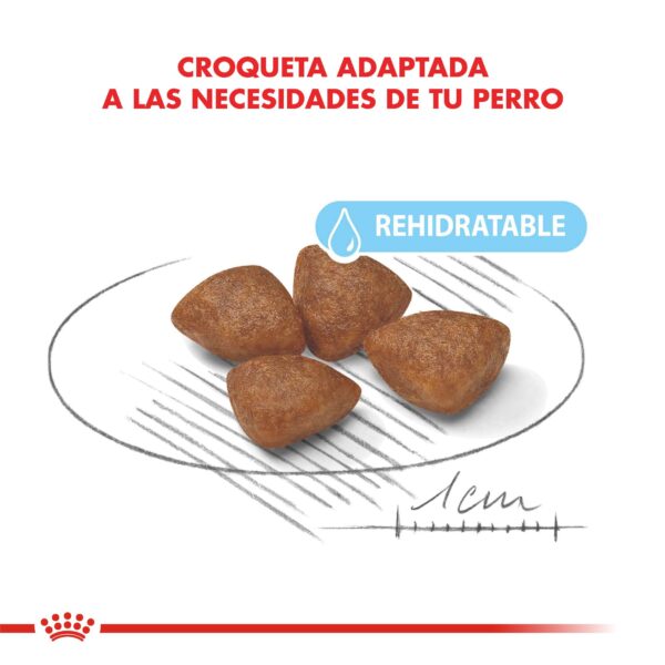 Royal Canin Mini Starter Mother & Babydog Alimento Seco para Perro | 1 y 3 kg