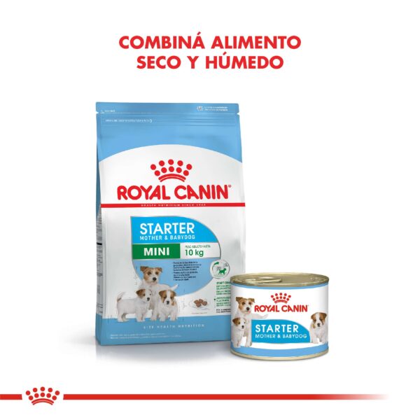 Royal Canin Mini Starter Mother & Babydog Alimento Seco para Perro | 1 y 3 kg - Imagen 5