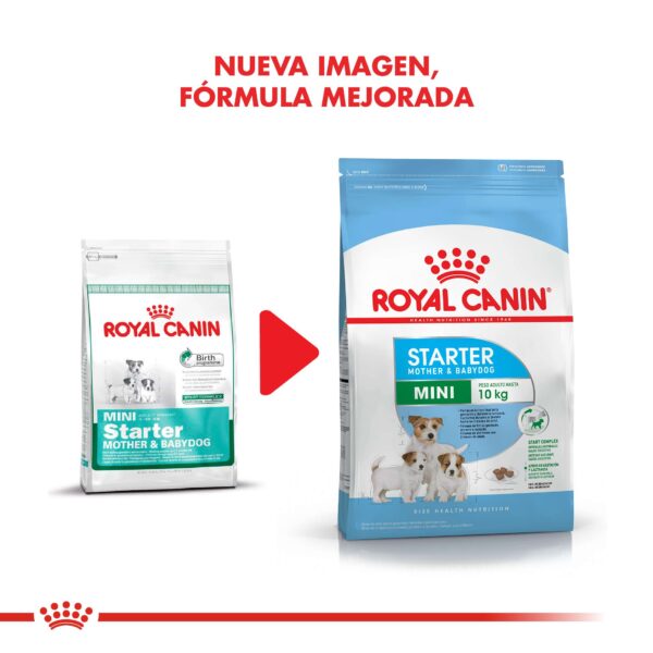Royal Canin Mini Starter Mother & Babydog Alimento Seco para Perro | 1 y 3 kg