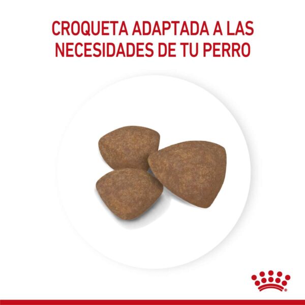 Royal Canin Mini Puppy Alimento Seco para Perro | 1 | 3 | 7,5 y 15 kg