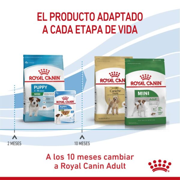 Royal Canin Mini Puppy Alimento Seco para Perro | 1 | 3 | 7,5 y 15 kg