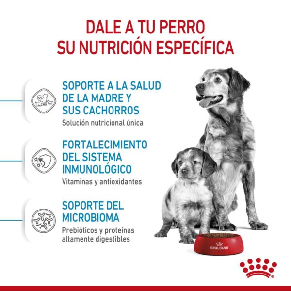 Royal Canin Medium Starter Mother & Babydog Alimento Seco para Perro | 3 kg