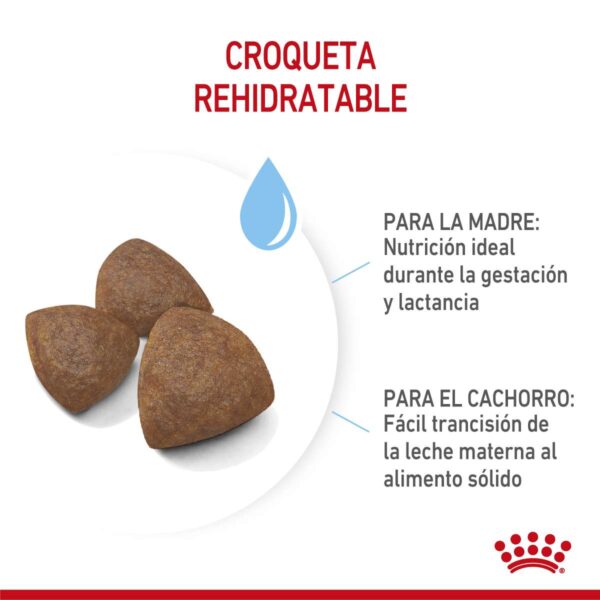 Royal Canin Medium Starter Mother & Babydog Alimento Seco para Perro | 3 kg