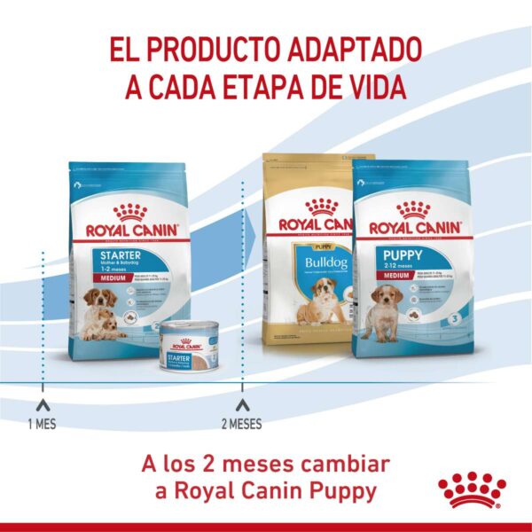 Royal Canin Medium Starter Mother & Babydog Alimento Seco para Perro | 3 kg