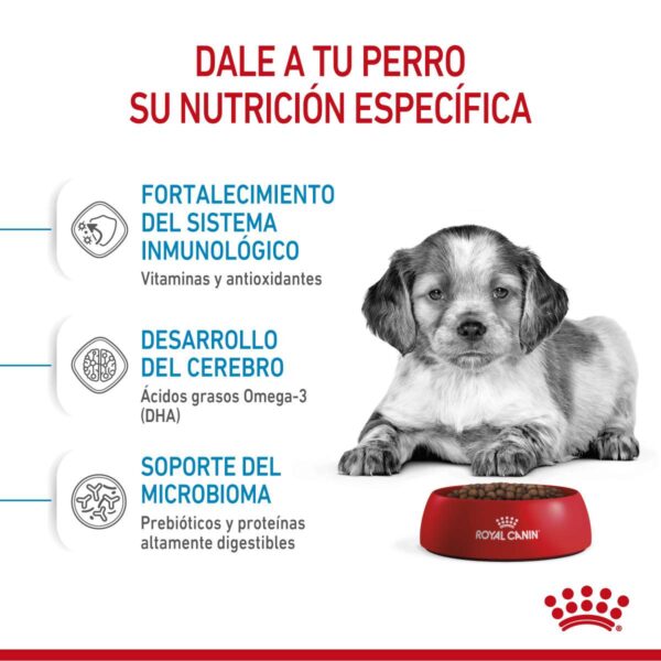 Royal Canin Medium Puppy Alimento Seco para Perro | 3 y 15 kg