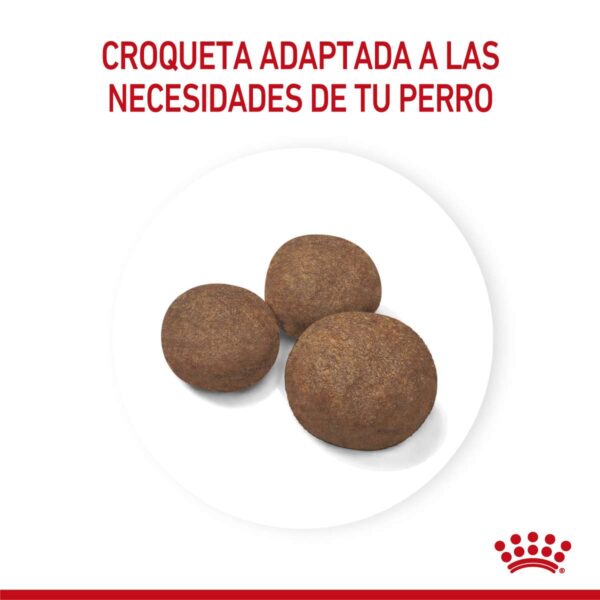 Royal Canin Medium Puppy Alimento Seco para Perro | 3 y 15 kg