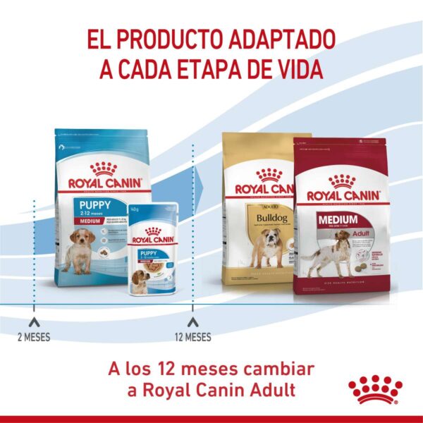 Royal Canin Medium Puppy Alimento Seco para Perro | 3 y 15 kg