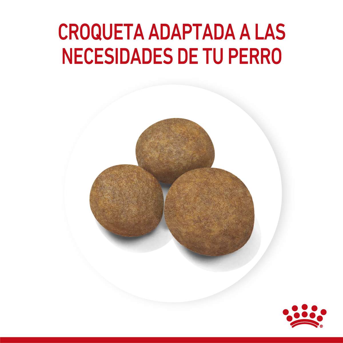 Royal Canin Maxi Puppy Alimento Seco para Perro | 3 y 15 kg