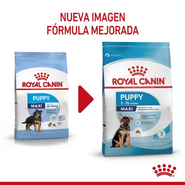 Royal Canin Maxi Puppy Alimento Seco para Perro | 3 y 15 kg