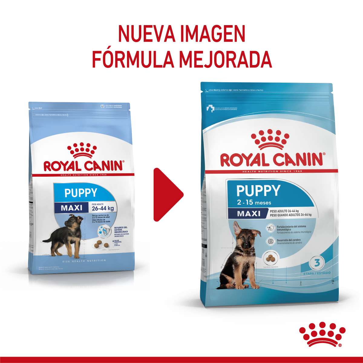 Royal Canin Maxi Puppy Alimento Seco para Perro | 3 y 15 kg