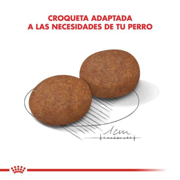 Royal Canin Medium Adulto Alimento Seco para Perro | 3 | 7,5 y 15 kg