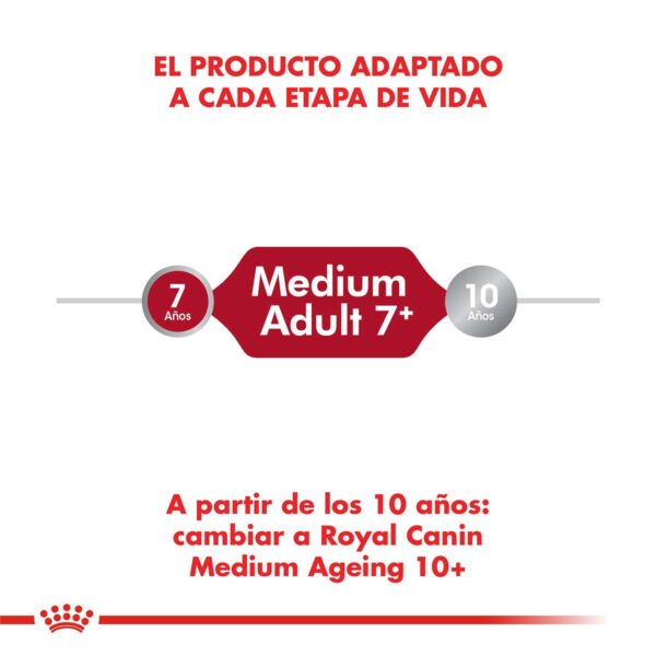 Royal Canin Medium Adulto Alimento Seco para Perro | 3 | 7,5 y 15 kg