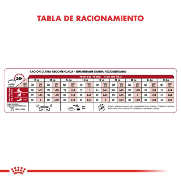 Royal Canin Medium Adulto Alimento Seco para Perro | 3 | 7,5 y 15 kg