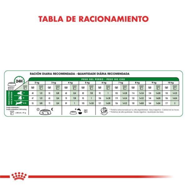 Royal Canin Mini Adulto 8+ Alimento Seco para Perro | 3 kg