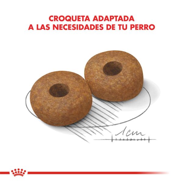 Royal Canin Medium Ageing 10+ Alimento Seco para Perro | 15 kg
