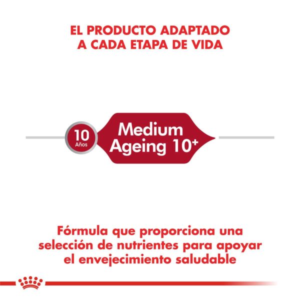 Royal Canin Medium Ageing 10+ Alimento Seco para Perro | 15 kg