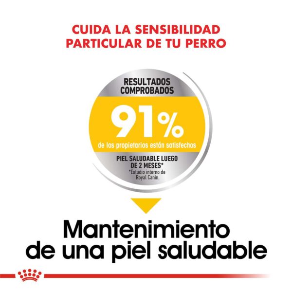 Royal Canin Medium Dermacomfort Alimento Seco para Perro | 3 y 10 kg