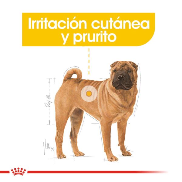 Royal Canin Medium Dermacomfort Alimento Seco para Perro | 3 y 10 kg