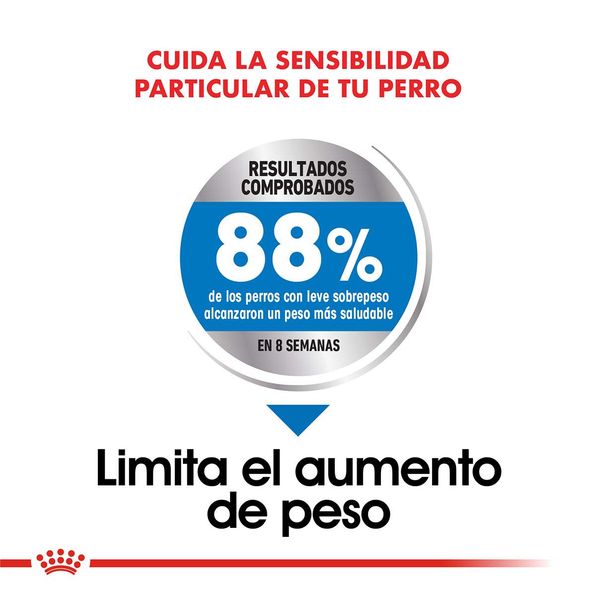 Royal Canin Mini Weight Care Alimento Seco para Perro | 3 kg