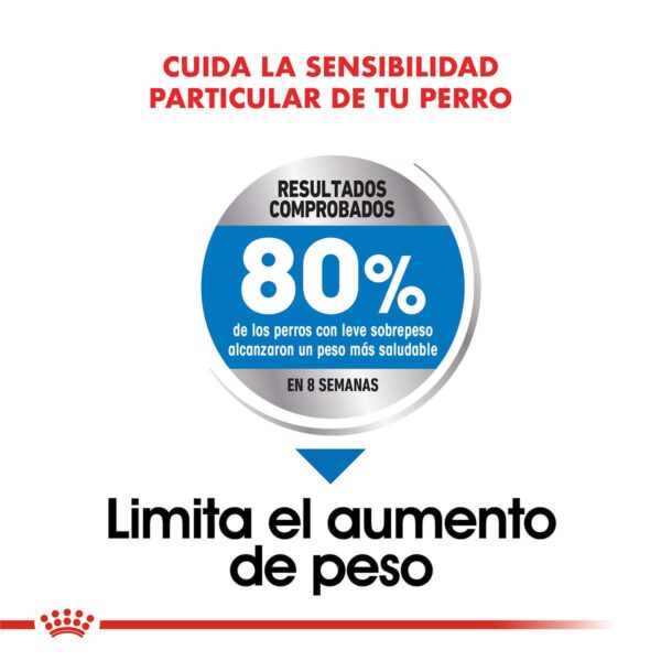 Royal Canin Medium Weight Care Alimento Seco para Perro | 3 y 10 kg