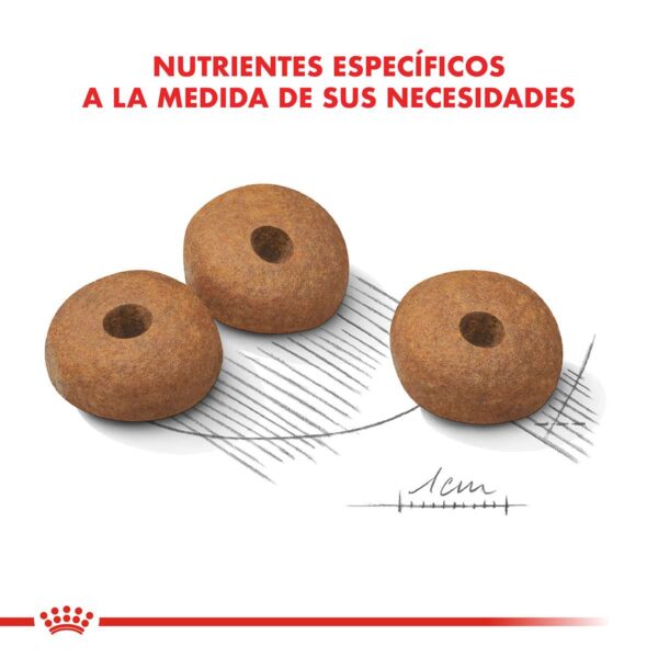 Royal Canin Medium Weight Care Alimento Seco para Perro | 3 y 10 kg