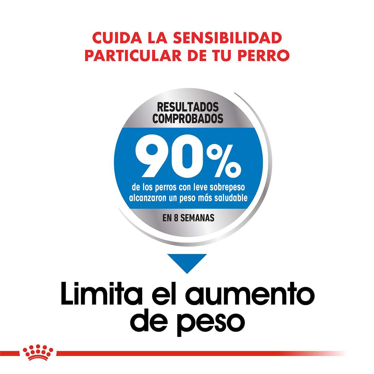 Royal Canin Maxi Weight Care Alimento Seco para Perro | 10 kg