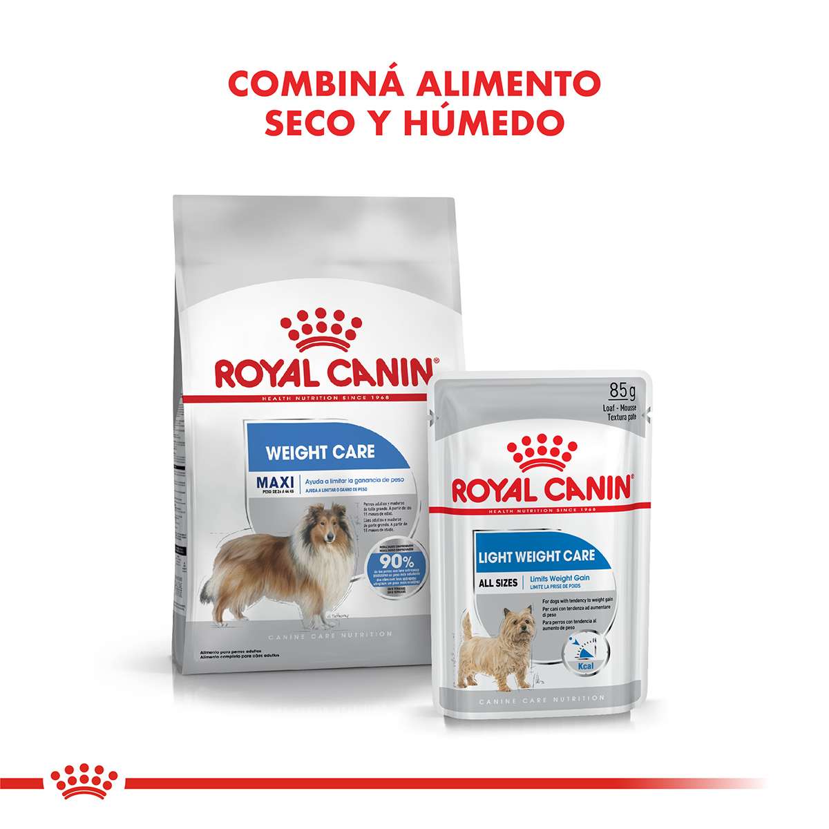 Royal Canin Maxi Weight Care Alimento Seco para Perro | 10 kg
