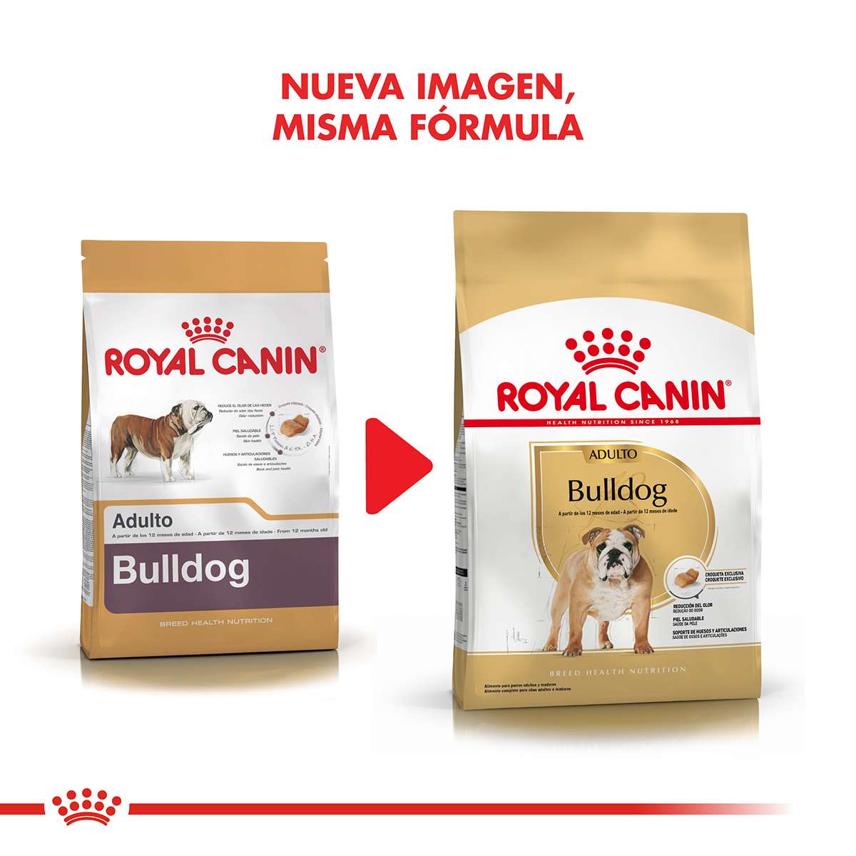 Royal Canin Bulldog Inglés Adulto Alimento Seco para Perro | 12 kg