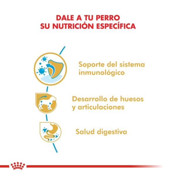 Royal Canin Dachshund Puppy Alimento Seco para Perro | 3 kg