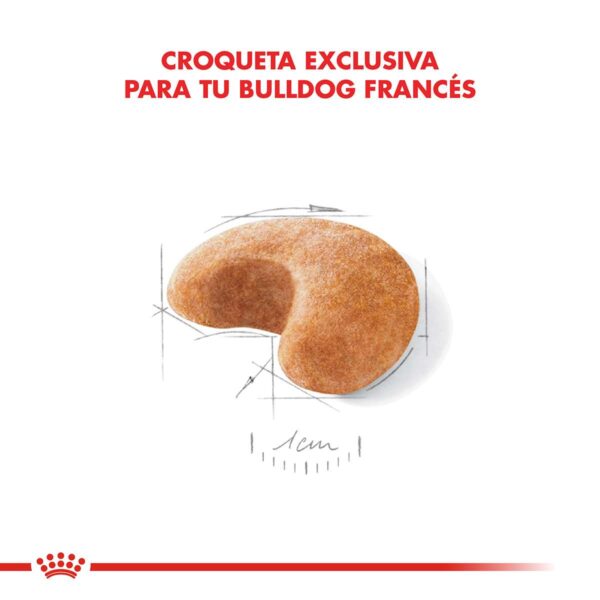 Royal Canin Bulldog Francés Adulto Alimento Seco para Perro | 3 y 7,5 kg