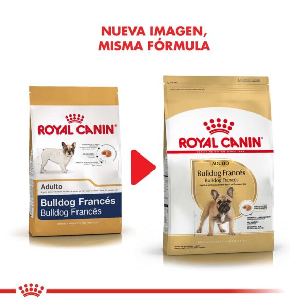 Royal Canin Bulldog Francés Adulto Alimento Seco para Perro | 3 y 7,5 kg