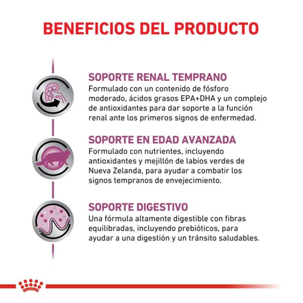 Royal Canin Early Renal Alimento Seco para Gato (ex Stage 2) | 1,5 kg