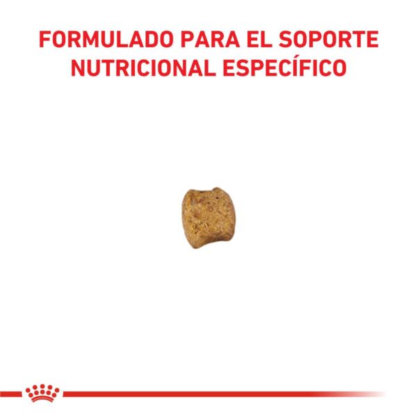 Royal Canin Early Renal Alimento Seco para Gato (ex Stage 2) | 1,5 kg