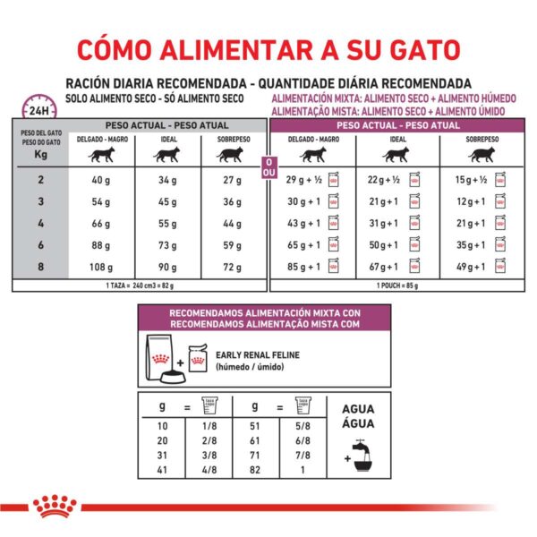 Royal Canin Early Renal Alimento Seco para Gato (ex Stage 2) | 1,5 kg