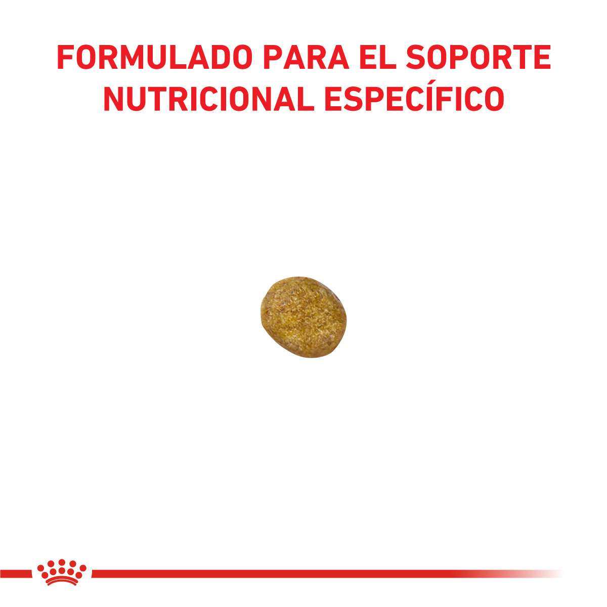 Royal Canin Renal Feline Alimento Seco para Gato | 2 kg