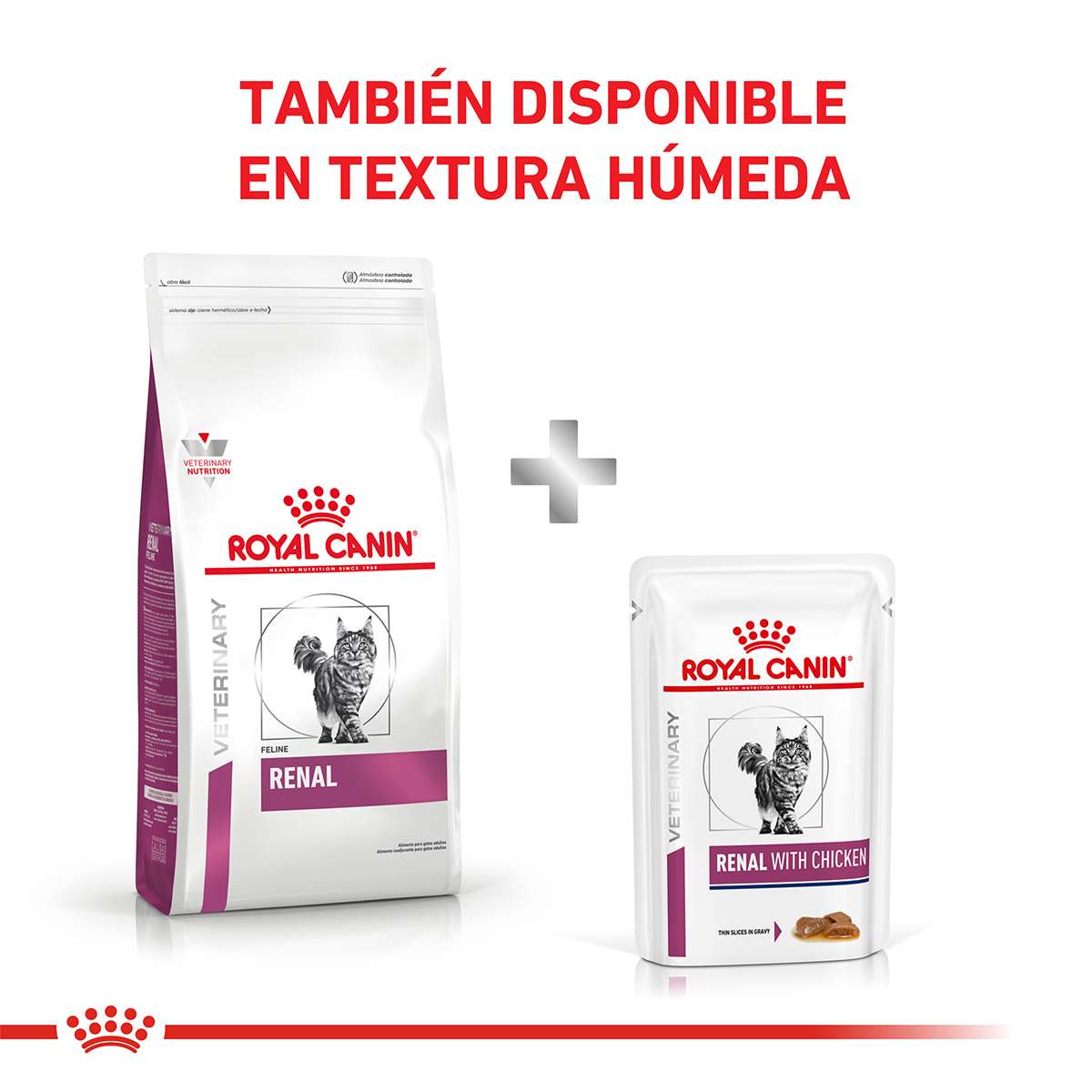 Royal Canin Renal Feline Alimento Seco para Gato | 2 kg