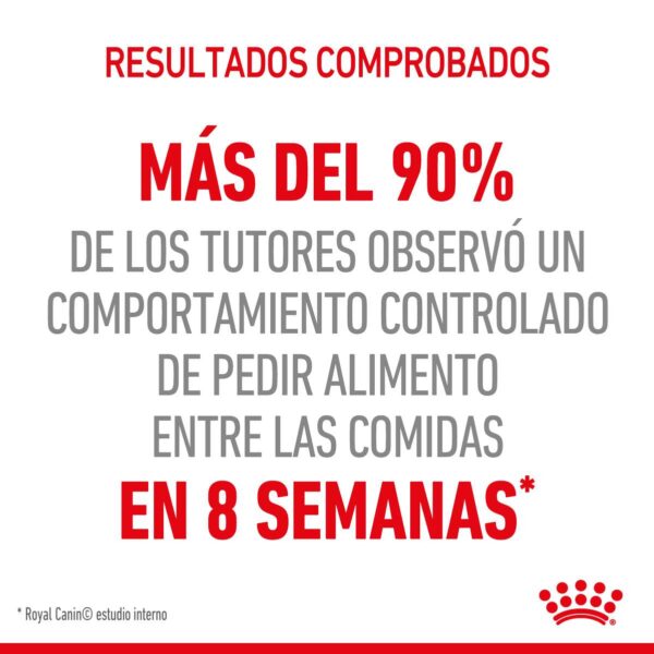 Royal Canin Appetite Control Alimento Seco para Gato | 1,5 y 3 Kg