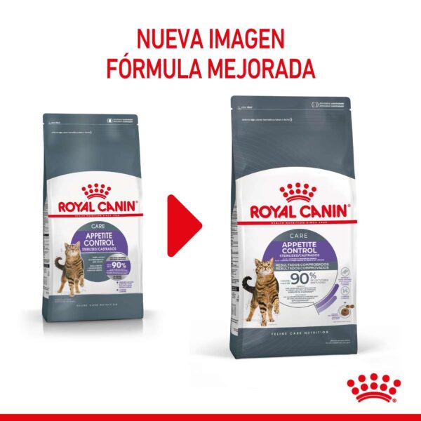 Royal Canin Appetite Control Alimento Seco para Gato | 1,5 y 3 Kg - Imagen 7